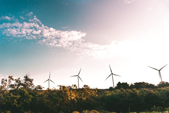 environnement durable notaire sables d'olonne